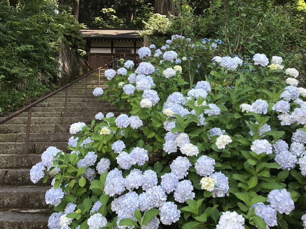 Готель Takayama Ninja House Екстер'єр фото
