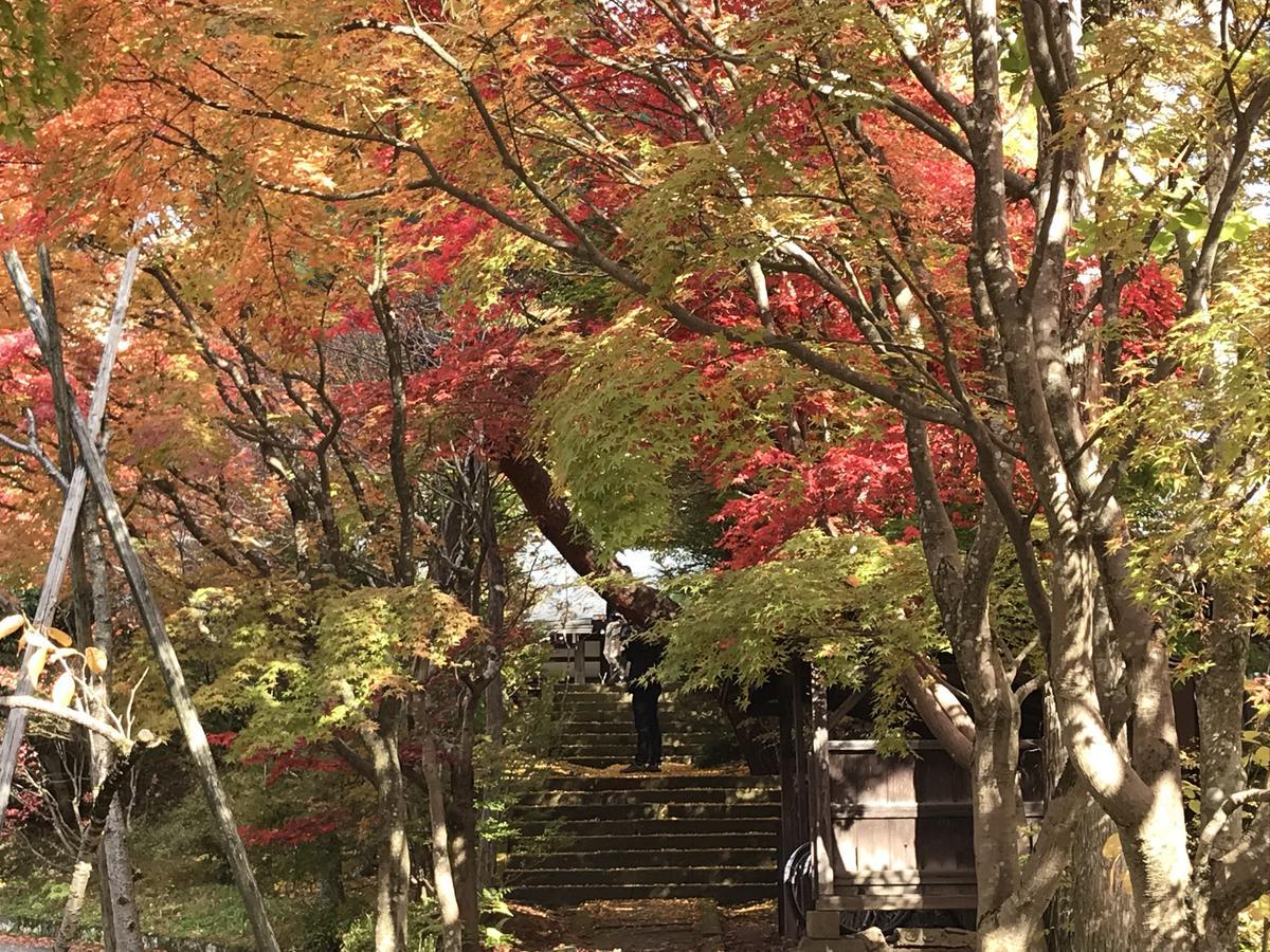 Готель Takayama Ninja House Екстер'єр фото